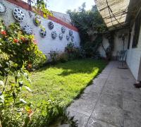 Patio trasero