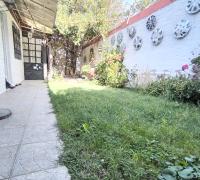 Patio trasero