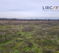 para vivir en el campo, pero cerca de la ciudad