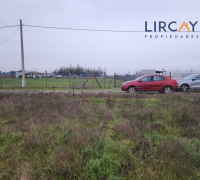 lotes con superficie 100% plana