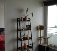 living comedor