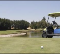 CARRITO GOLF