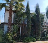 FRONTIS DE LA CASA
