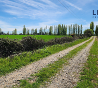 camino de servidumbre independiente