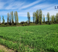 también tiene una casa para inquilino y su familia