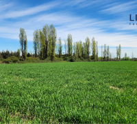 con suministro de agua a través de planta Agua Potable Rural APR