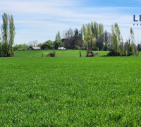 también posee 4,2 acciones de agua para riego