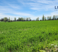 con vertientes naturales