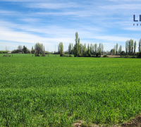 al norte colinda con camino L-673 (Carmen Oriente) y al sur limita con Estero Parral