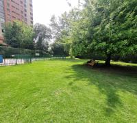 Areas verdes del edificio.