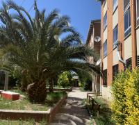 Vista lateral del condominio, rodeado de áreas verdes, palmeras y vegetación consolidada que aporta frescura y buen entorno. El recinto cuenta con espacios comunes, senderos peatonales y sector de juegos infantiles, ideal para familias y para disfrutar de un ambiente tranquilo y agradable.