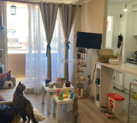 living cocina americana