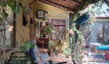 Hermoso y amplio corredor para disfrutar del jardín de helechos