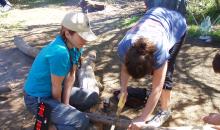 Actividades en familia.