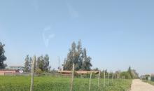 Parcelamiento Rustico. No condominio. Con Porton Electrico