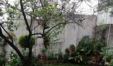 areas verdes interior