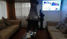 living con hermosa chimenea decorativa