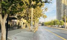 Calle 