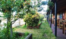 Patio acceso