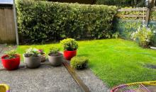 Terraza área verde