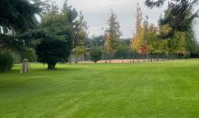 jardines