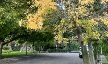 jardines