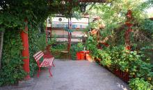 PATIO POSTERIOR