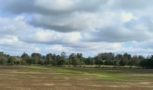campo