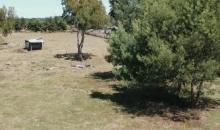 vista 1