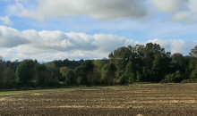 agricola