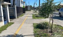 ciclovía  que pasa directamente frente a la propiedad