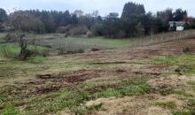 PARCELA COLINDANTE CON LA EN VENTA