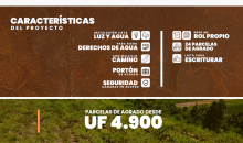 Caracteristicas 