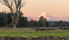 Vista al Volcán