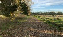 Camino Acceso