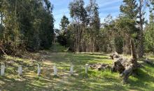 Tu lugar, tu refugio 