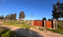 Rodeada de naturaleza 