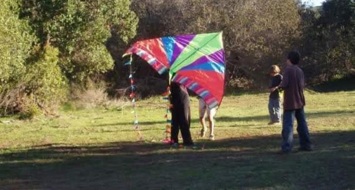 Competencia de volantines