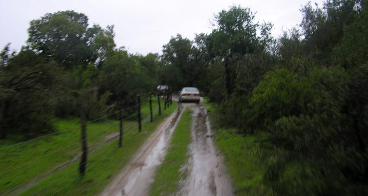 Terreno casi plano. Buena tierra, arboles nativos