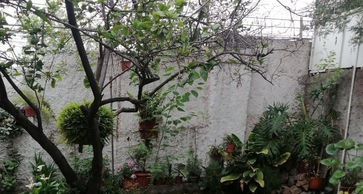areas verdes interior