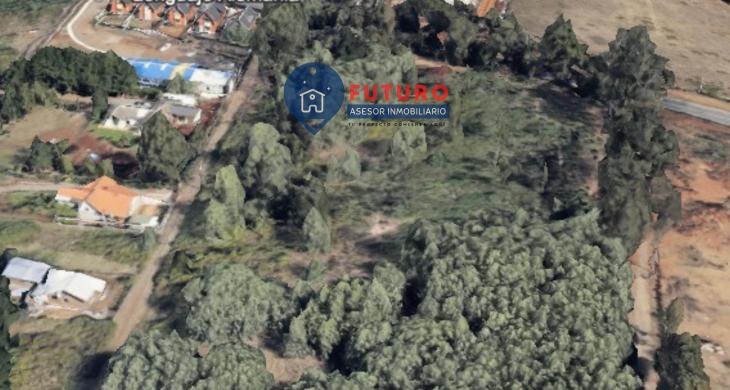 al lado de escuela de lenguaje