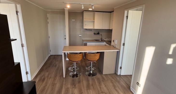 Living y cocina americana