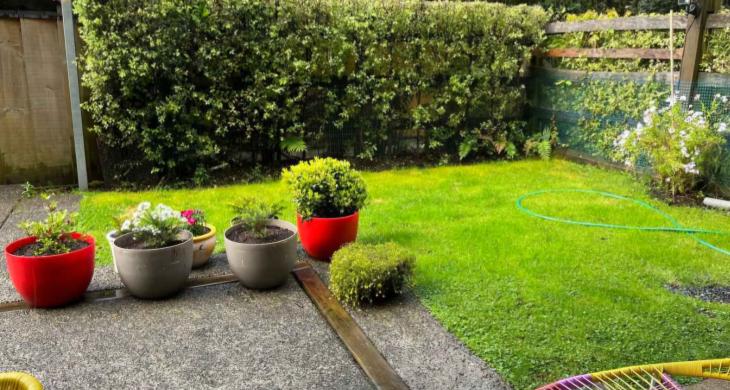 Terraza área verde