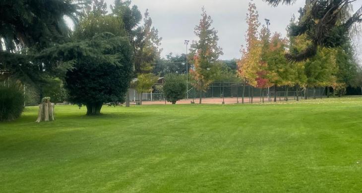 jardines