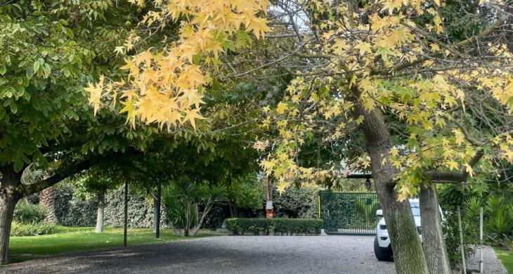 jardines
