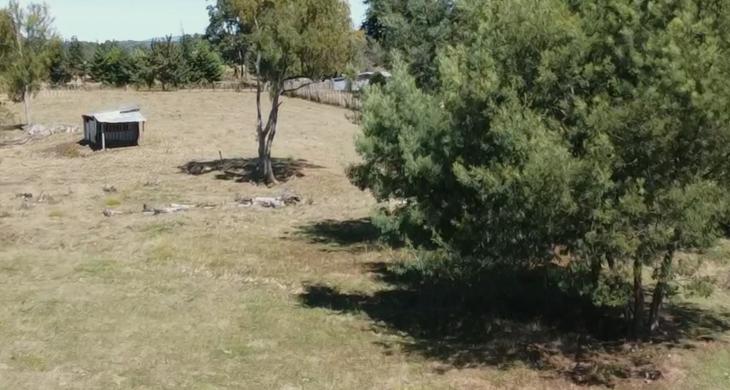 vista 1