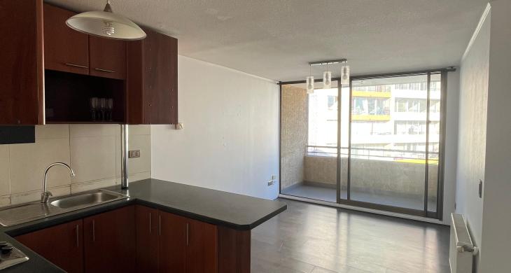Cocina americana y living comedor