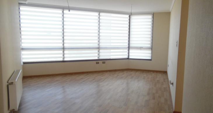 living comedor
