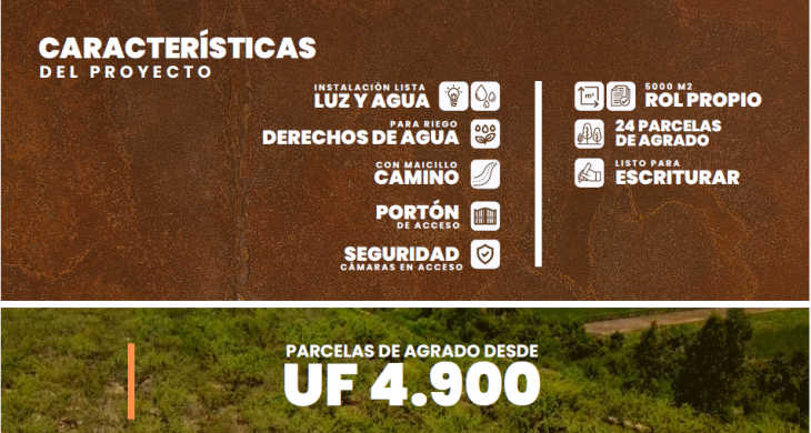 Caracteristicas 