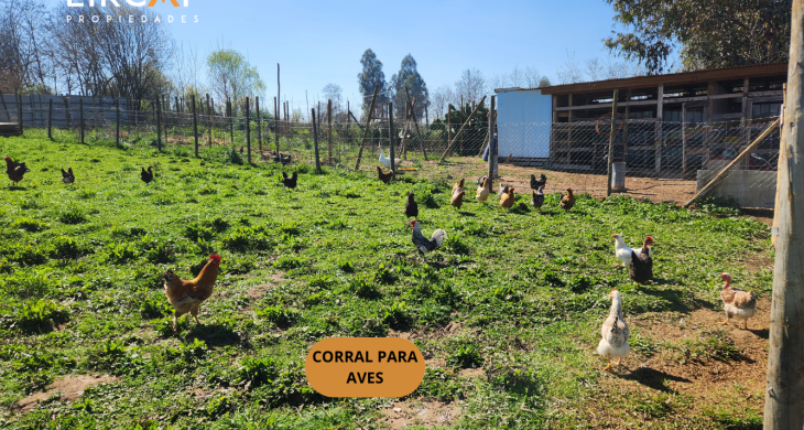 corral para aves